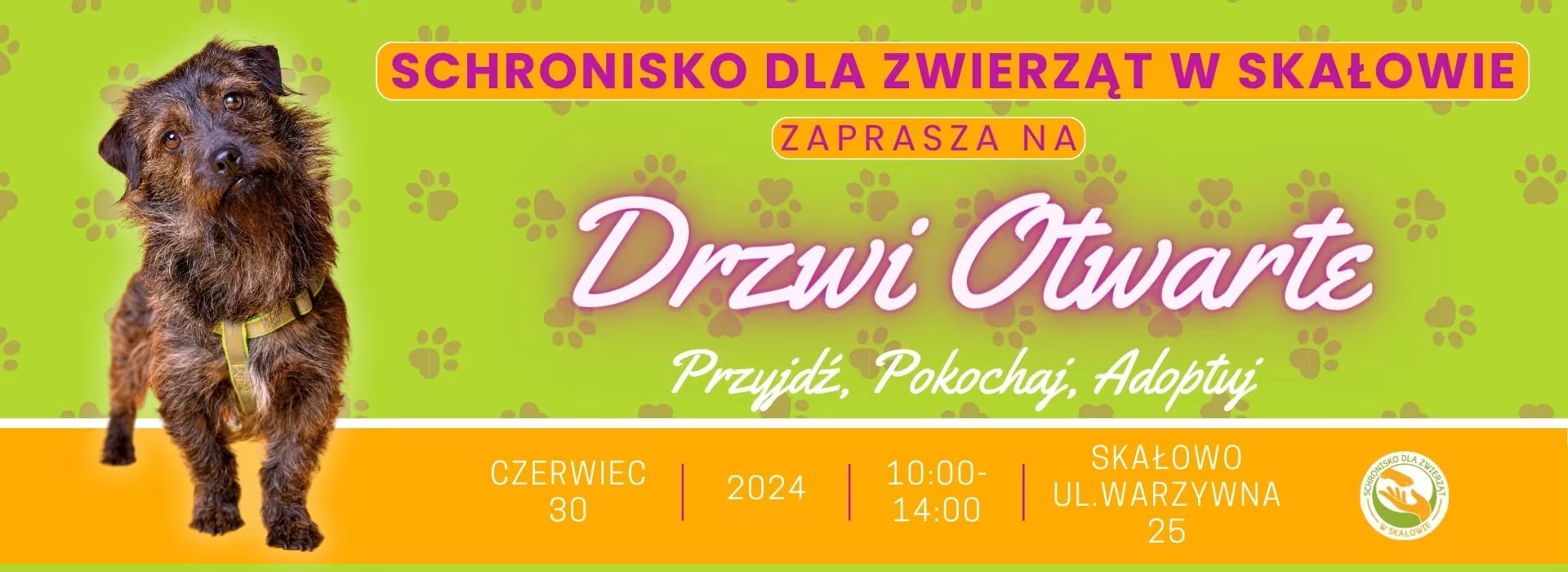 drzwi otwarte 2