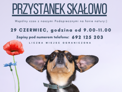 Przystanek Skałowo vol.4