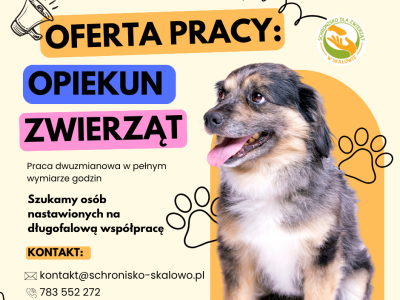 OFERTA PRACY