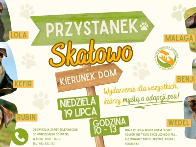 PRZYSTANEK SKAŁOWO - KIERUNEK DOM