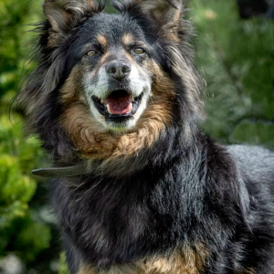 Otto:)